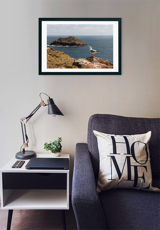 Arquipélago das Berlengas - ID27