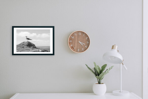 Arquipélago das Berlengas - ID28