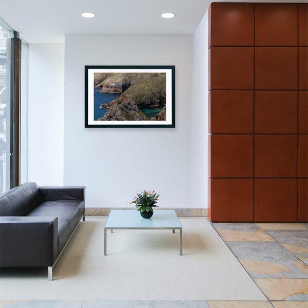 Arquipélago das Berlengas - ID29