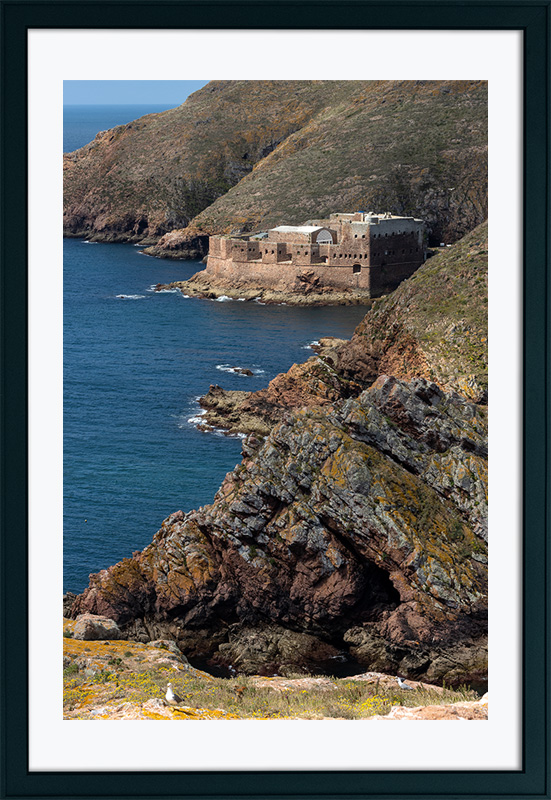 Arquipélago das Berlengas - ID30