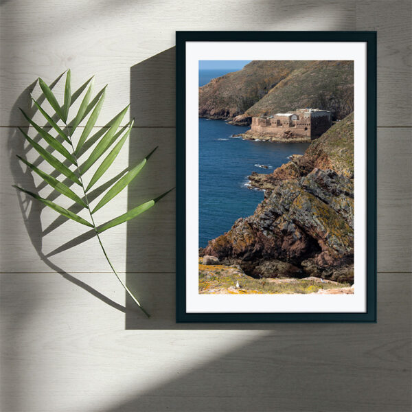 Arquipélago das Berlengas - ID30