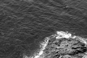 Arquipélago das Berlengas - ID31