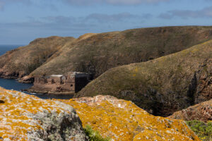 Arquipélago das Berlengas - ID34