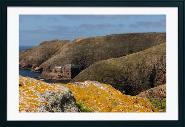 Arquipélago das Berlengas - ID34