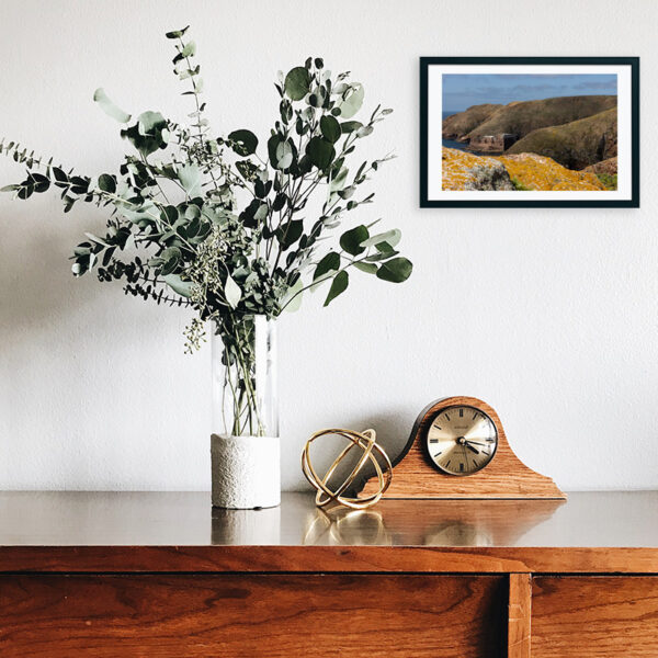 Arquipélago das Berlengas - ID34