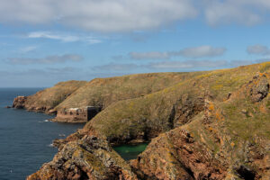 Arquipélago das Berlengas - ID35