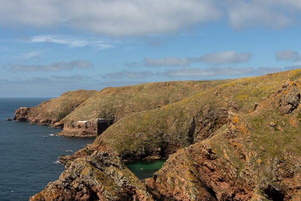 Arquipélago das Berlengas - ID35
