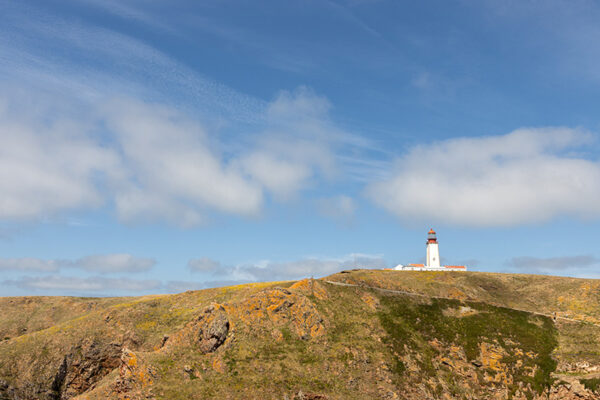 Arquipélago das Berlengas - ID36