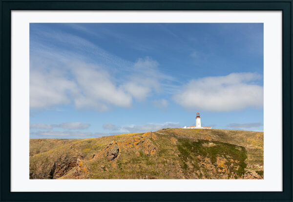 Arquipélago das Berlengas - ID36
