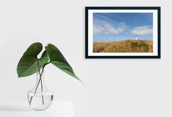 Arquipélago das Berlengas - ID36