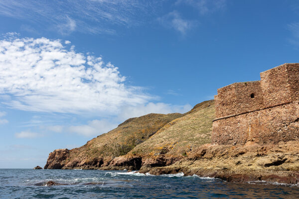 Arquipélago das Berlengas - ID40