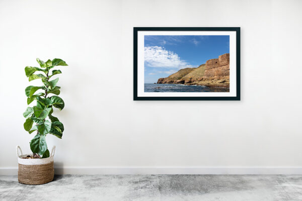 Arquipélago das Berlengas - ID40