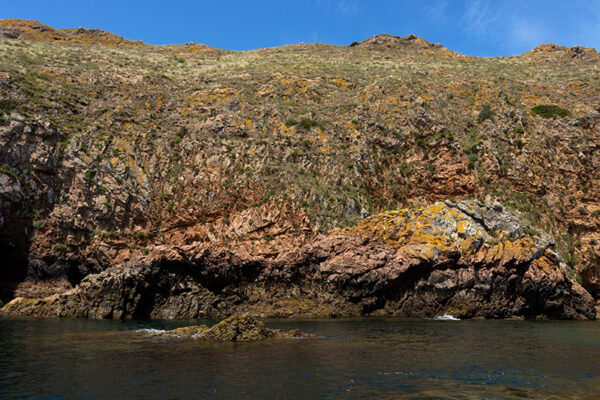 Arquipélago das Berlengas - ID41