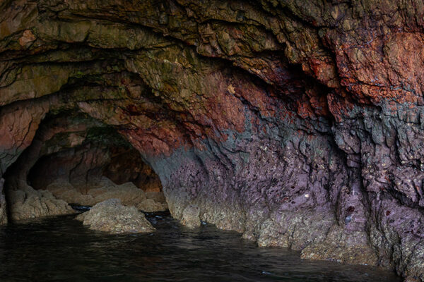 Arquipélago das Berlengas - ID45