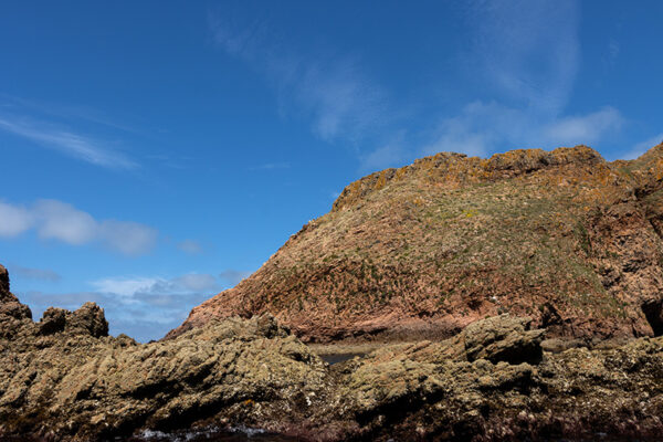 Arquipélago das Berlengas - ID46