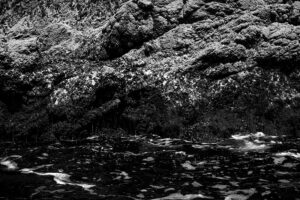 Arquipélago das Berlengas - ID47