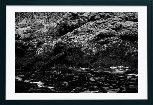 Arquipélago das Berlengas - ID47