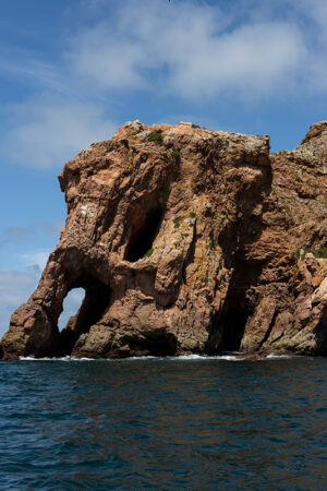 Arquipélago das Berlengas - ID49