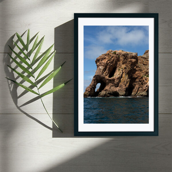 Arquipélago das Berlengas - ID49