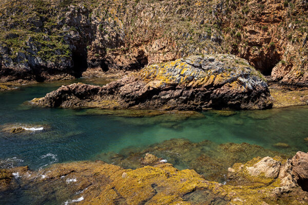 Arquipélago das Berlengas - ID50