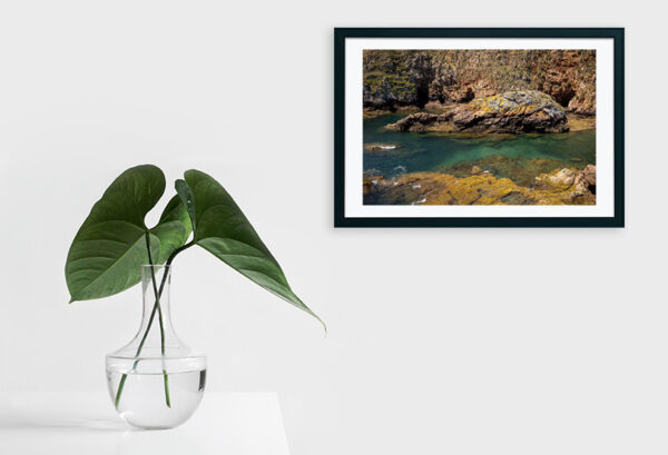 Arquipélago das Berlengas - ID50