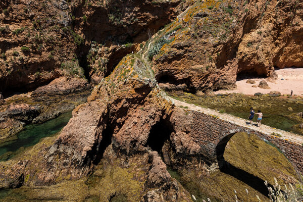 Arquipélago das Berlengas - ID53