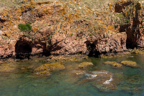 Arquipélago das Berlengas - ID54