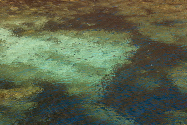 Arquipélago das Berlengas - ID55