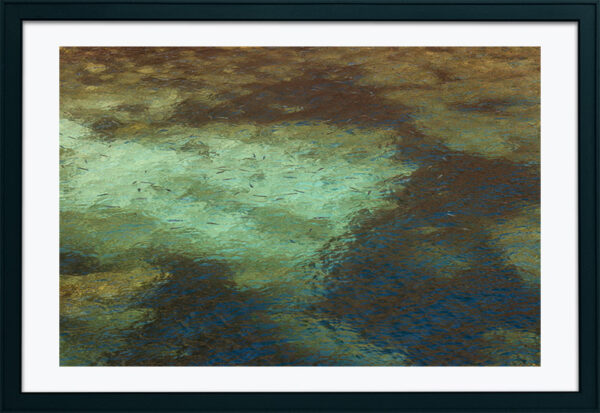 Arquipélago das Berlengas - ID55