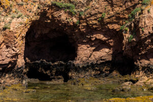 Arquipélago das Berlengas - ID56