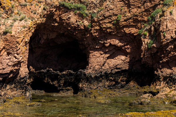 Arquipélago das Berlengas - ID56