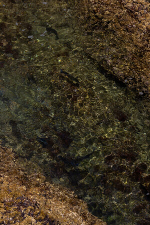 Arquipélago das Berlengas - ID59