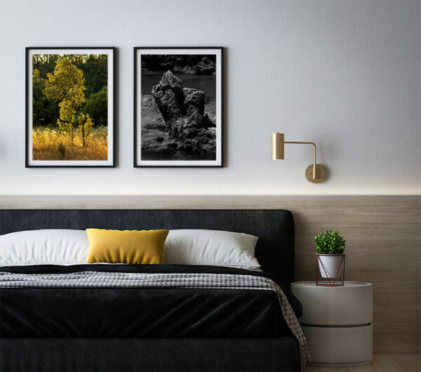 Arquipélago das Berlengas - ID60