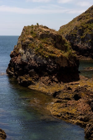 Arquipélago das Berlengas - ID62