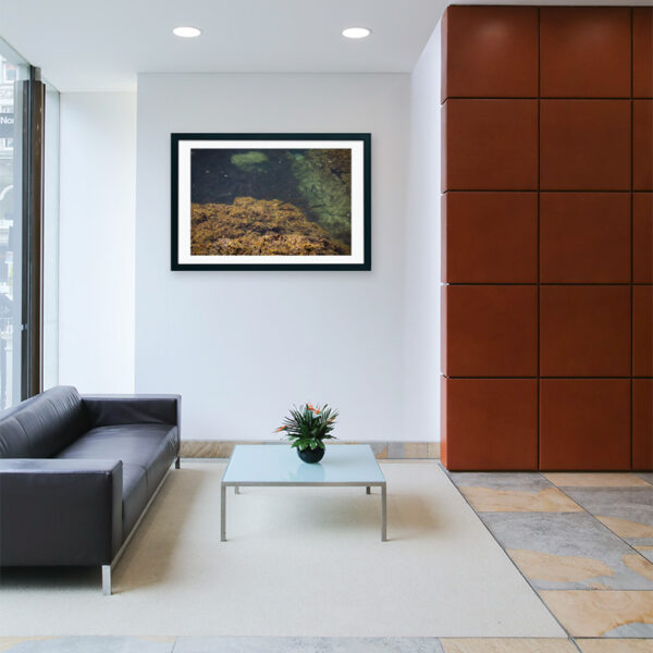 Arquipélago das Berlengas - ID63