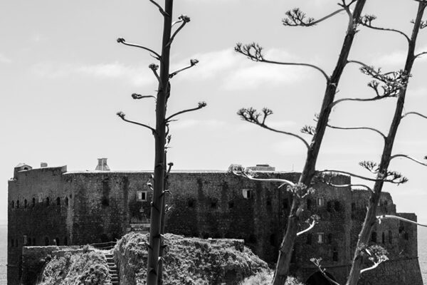 Arquipélago das Berlengas - ID65