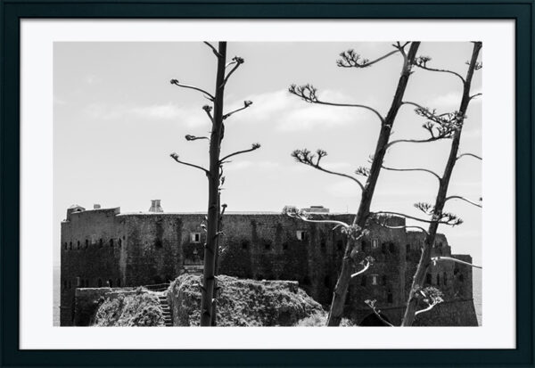 Arquipélago das Berlengas - ID65