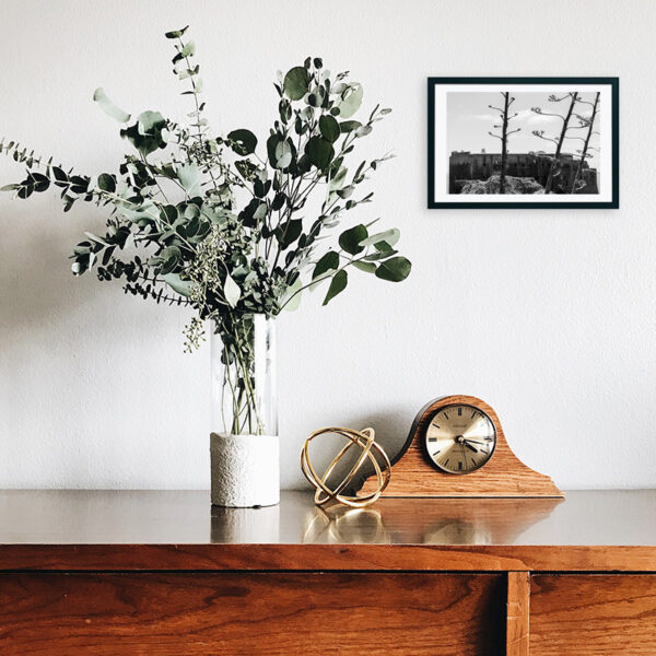 Arquipélago das Berlengas - ID65