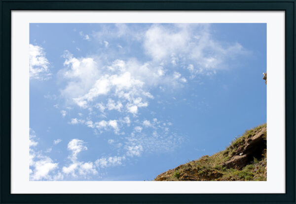 Arquipélago das Berlengas - ID66