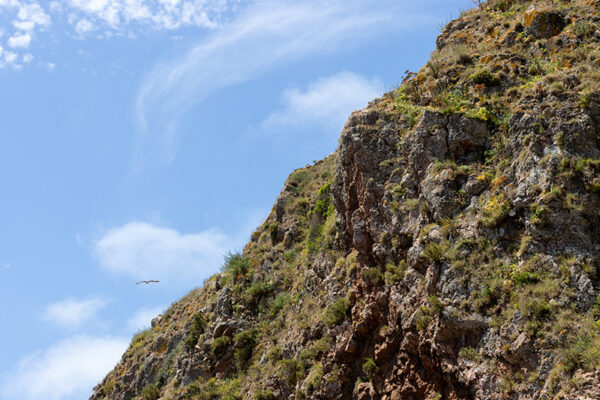 Arquipélago das Berlengas - ID67