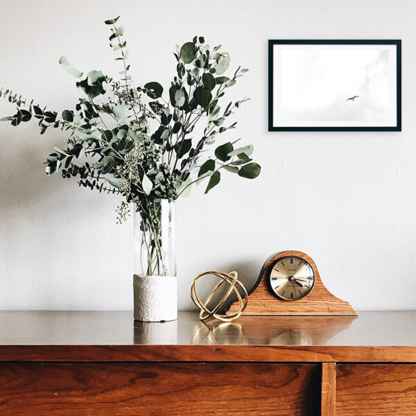 Arquipélago das Berlengas - ID68