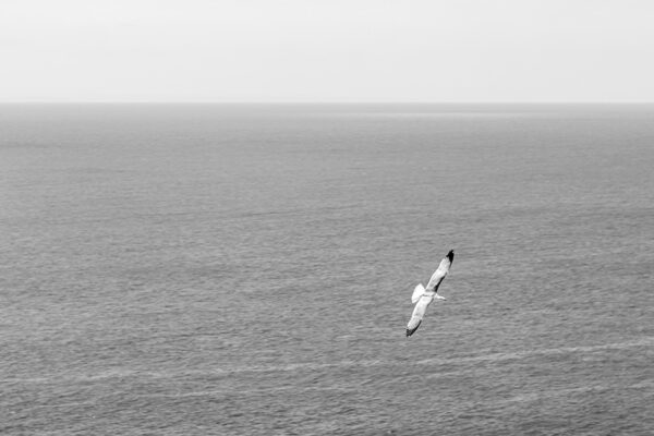 Arquipélago das Berlengas - ID71