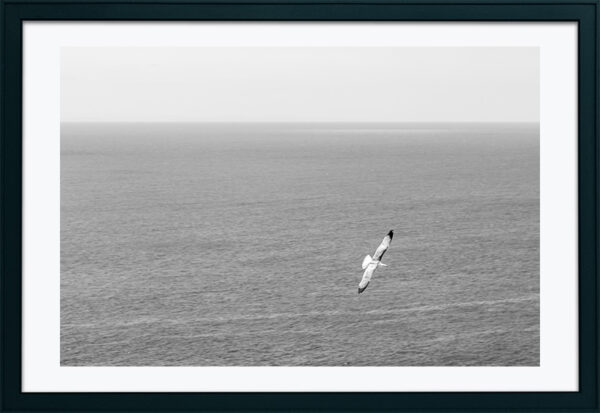 Arquipélago das Berlengas - ID71