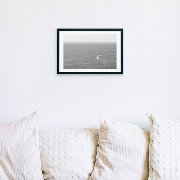 Arquipélago das Berlengas - ID71