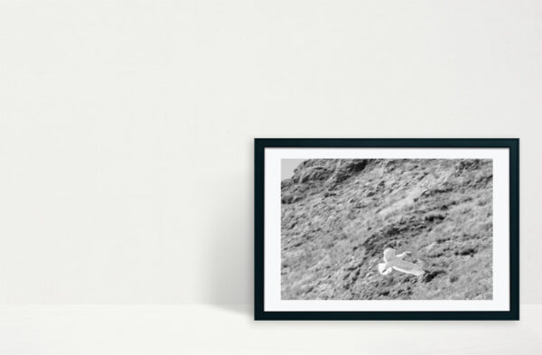 Arquipélago das Berlengas - ID72