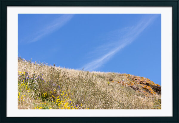 Arquipélago das Berlengas - ID76