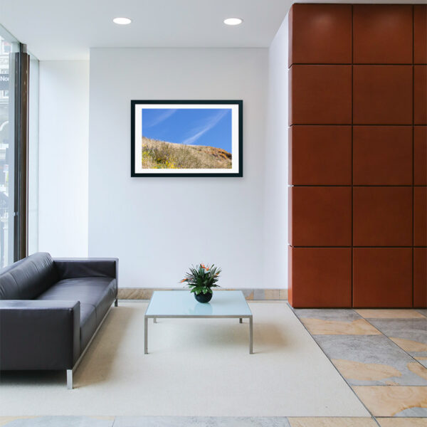 Arquipélago das Berlengas - ID76