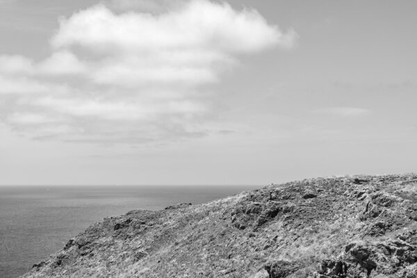 Arquipélago das Berlengas - ID81