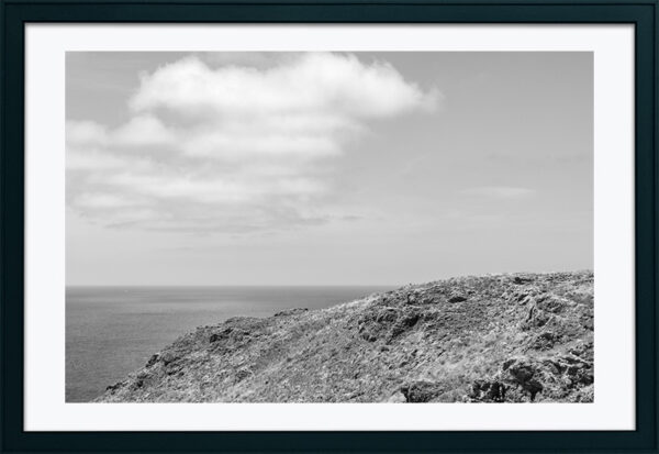 Arquipélago das Berlengas - ID81