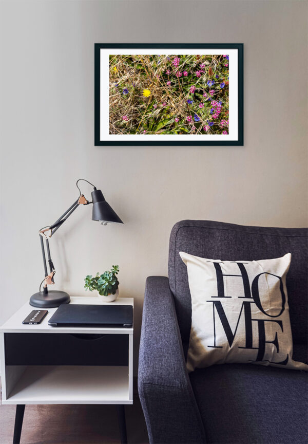 Arquipélago das Berlengas - ID82